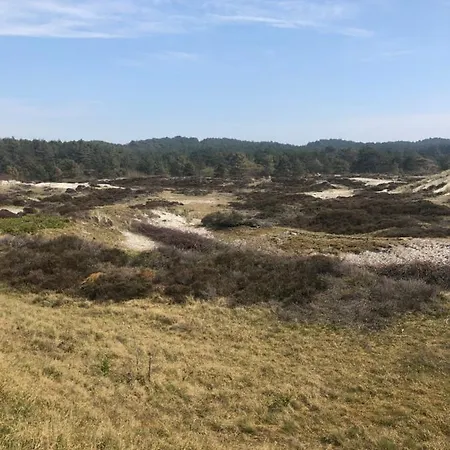 't Vrijhofje 瓦门赫伊曾